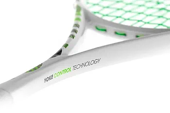デグランライス Tecnifibre Slash 120 Power – Holabird Sports